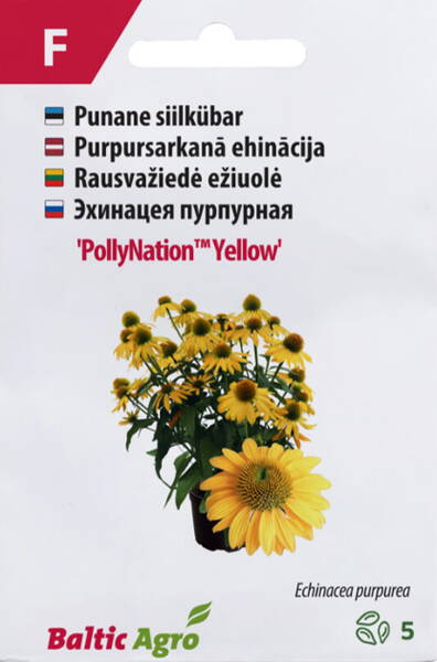 Kaunopunahattu "PollyNation Yellow"